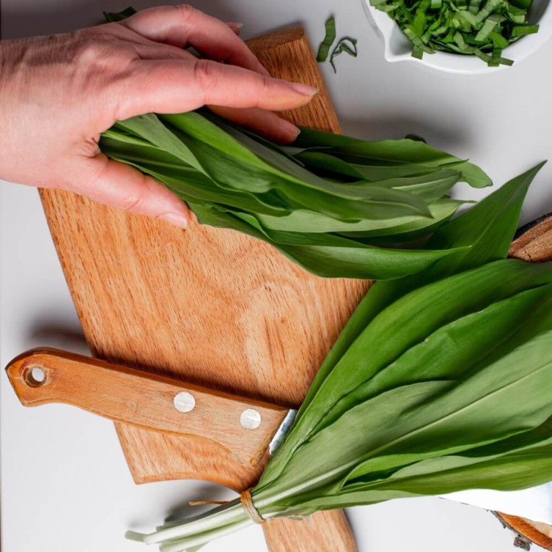 Czosnek Niedźwiedzi SAMO ZDROWIE (Allium ursinum) Sadzonka.jpg