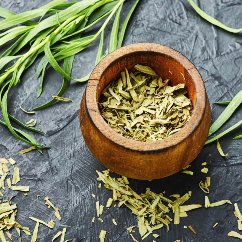 Estragon (Artemisia dracunculus) nasiona 0,2g (2).jpg