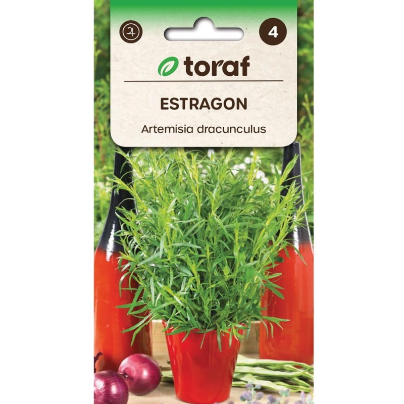 Estragon (Artemisia dracunculus) nasiona 0,2g (1).jpg