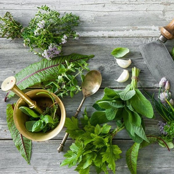 Herbaciane Popołudnie (Mix Ziół) nasiona 1g