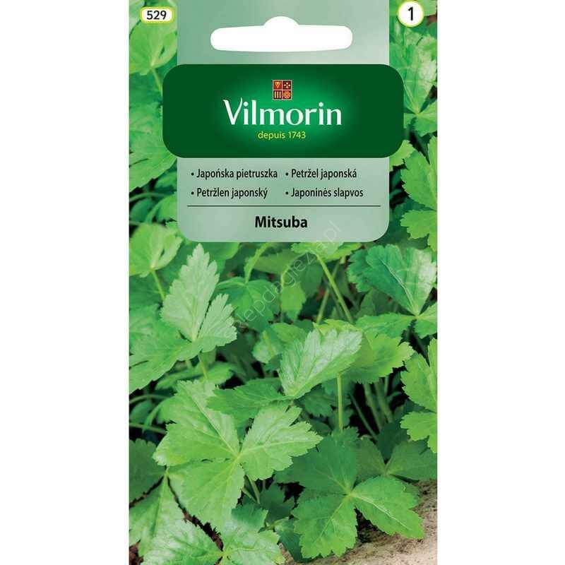 Japońska Pietruszka Mitsuba (Cryptotaenia japonica) nasiona 0,5g  (1).jpg