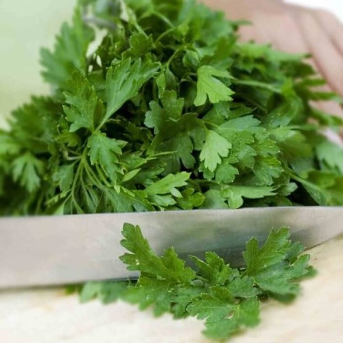 Japońska Pietruszka Mitsuba nasiona 0,5g