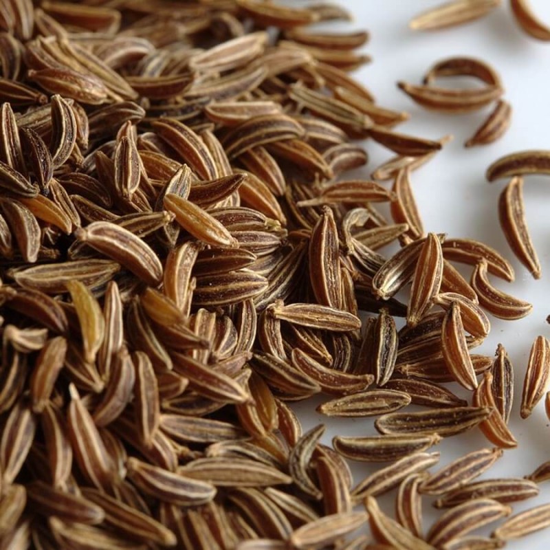 Kminek zwyczajny jednoroczny Sprinter (Carum carvi) nasiona 3g (1).jpg