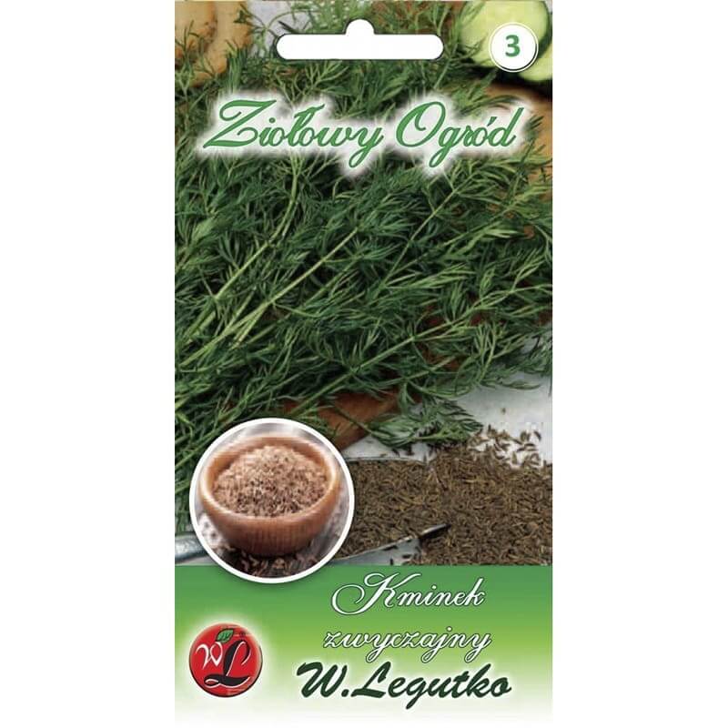 Kminek zwyczajny Rekord (Carum Carvi) nasiona 3g (1).jpg