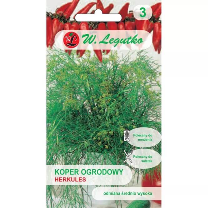 Koper ogrodowy Herkules (Anethum graveolens) nasiona 5g (6).jpg