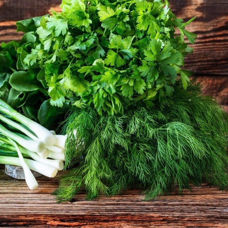 Koper ogrodowy SZMARAGD (Anethum graveolens) nasiona XXL 100g (3).jpg