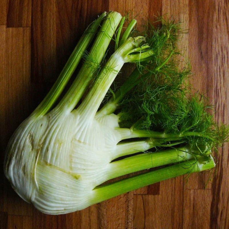 Koper włoski, jednoroczny 'Magnafena' (Foeniculum vulgare) 1g (1).jpg