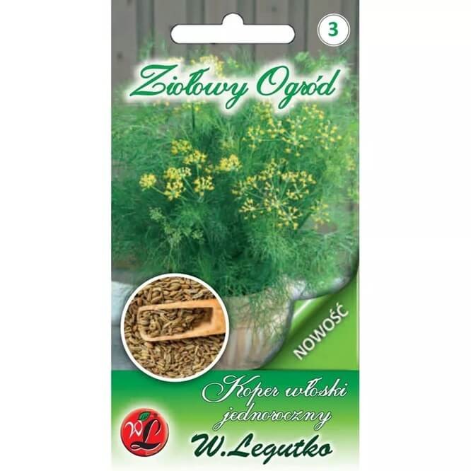 Koper włoski, jednoroczny 'Magnafena' (Foeniculum vulgare) 1g (3).jpg