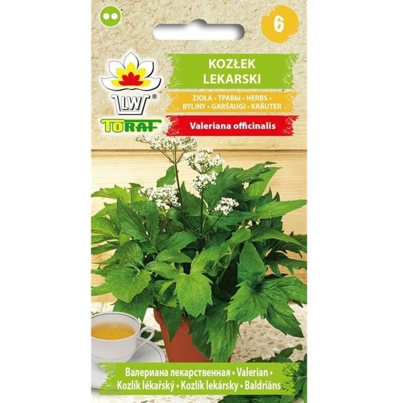 Kozłek lekarski (Valeriana officinalis) nasiona 0,2g (4).jpg