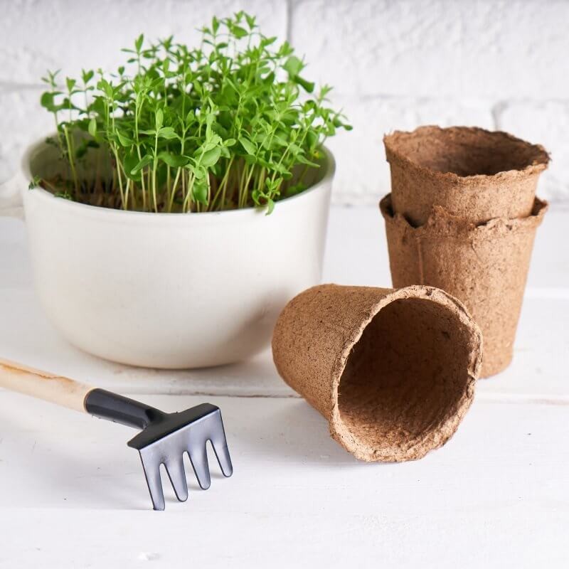 ekologiczne-doniczki-torfowe-6cm.jpg