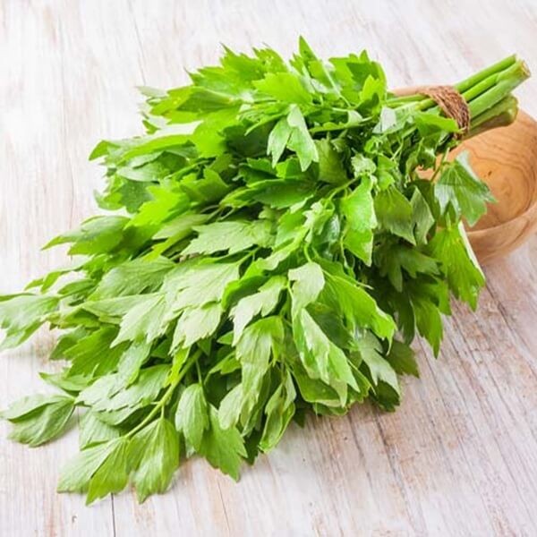 Lubczyk (Levisticum officinale) nasiona 1g (2).jpg