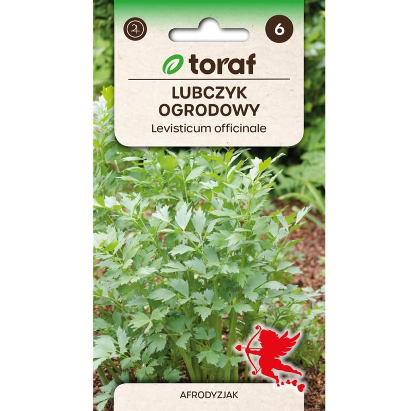 Lubczyk (Levisticum officinale) nasiona 1g.jpg