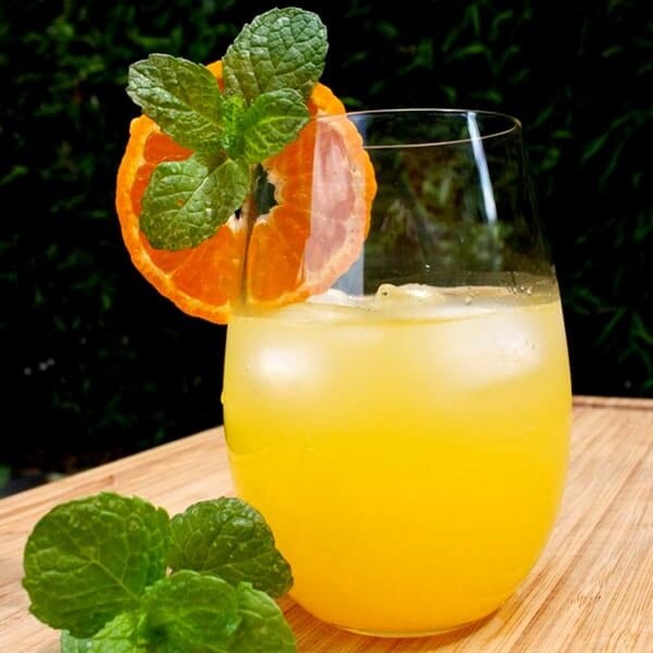 Mięta Pomarańczowa (Mentha x piperita) Sadzonka C1 (3).jpg