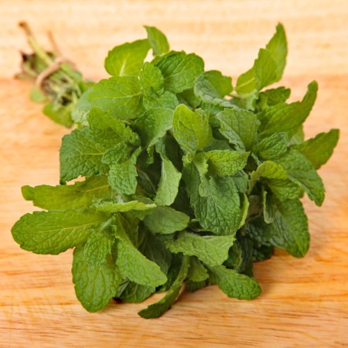 Mięta polej nasiona 0,1g