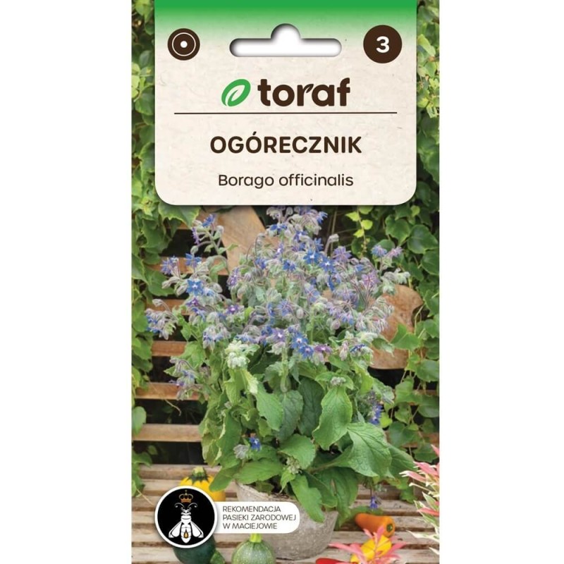 Ogórecznik lekarski - (Borago officinalis) nasiona 2g (3).jpg