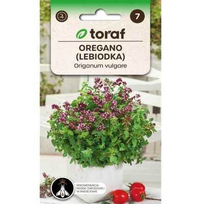Oregano - Lebiodka pospolita (Origanum vulgare) nasiona 0,5g (1).jpg