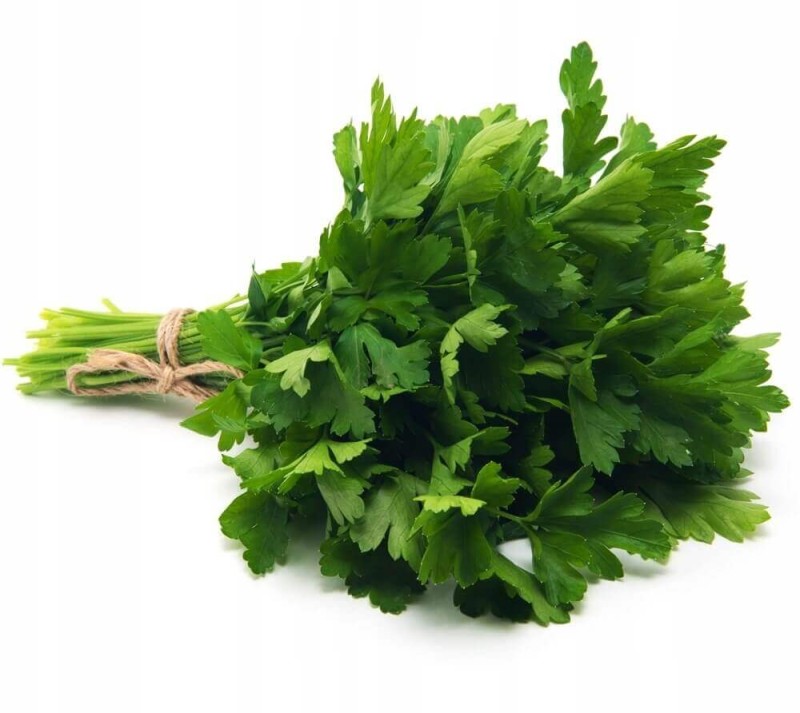 Pietruszka naciowa FESTIVAL 68 (Petroselinum crispum) nasiona XL 100g.jpg