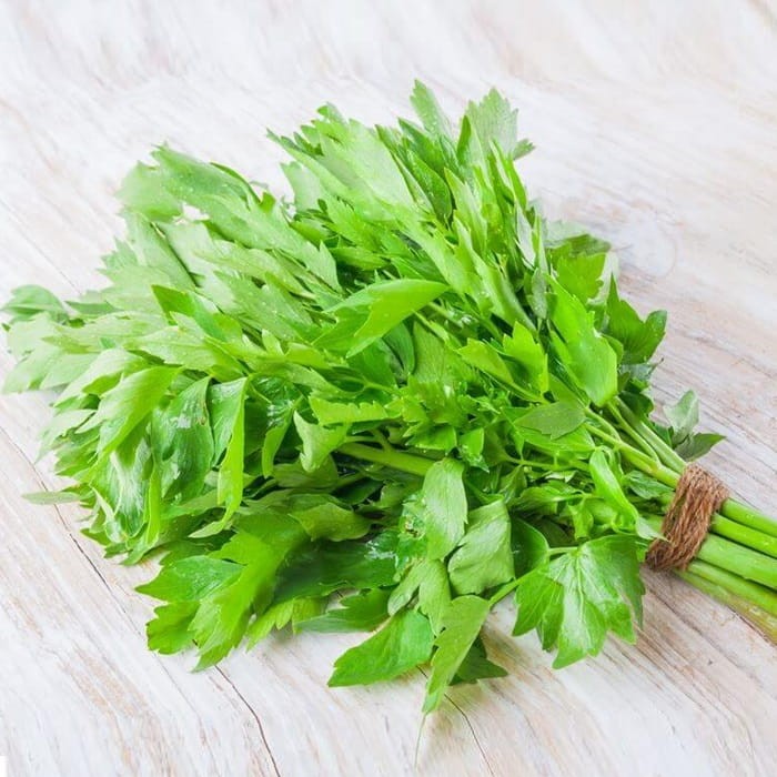 Lubczyk ogrodowy (Levisticum officinale) Sadzonka (2).jpg