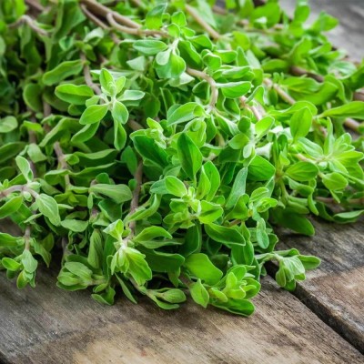 Majeranek - (Origanum majorana) nasiona 1g (2).jpg