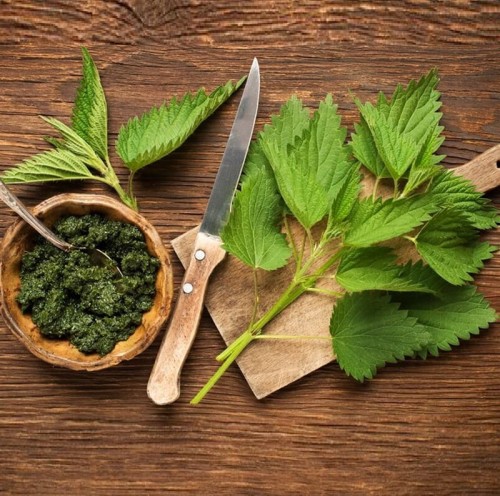 Pokrzywa zwyczajna nasiona 0,1g