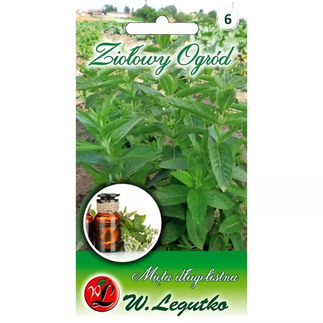 Mięta długolistna (Mentha longifolia) nasiona 0,1g (1).jpg