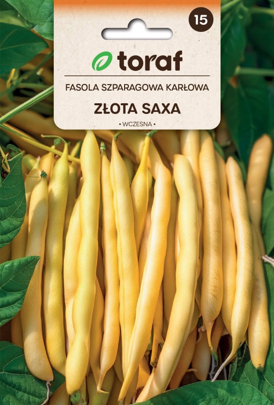 Fasola szparagowa zlota saxa nasiona (2).jpg