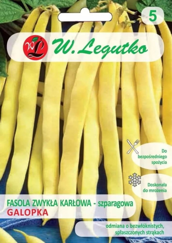 Fasola szparagowa galopka nasiona xl (2).jpg