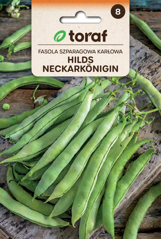 Fasola szparagowa tyczna hilds Neckarkönigin nasiona xl (2).jpg