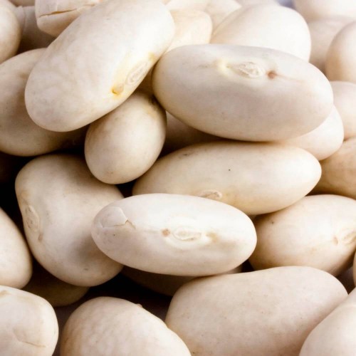 Fasola tyczna PIĘKNY JAŚ nasiona 40g