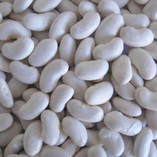 Fasola tyczna PIĘKNY JAŚ nasiona XL 500g