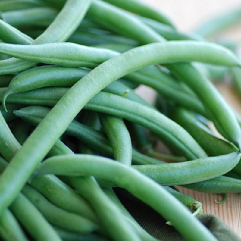 Fasola wielokwiatowa karłowa HESTIA ozdobna nasiona (3).jpg