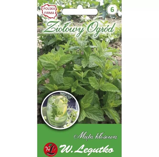Mięta kłosowa (Mentha spicata) nasiona 0,1g.jpg