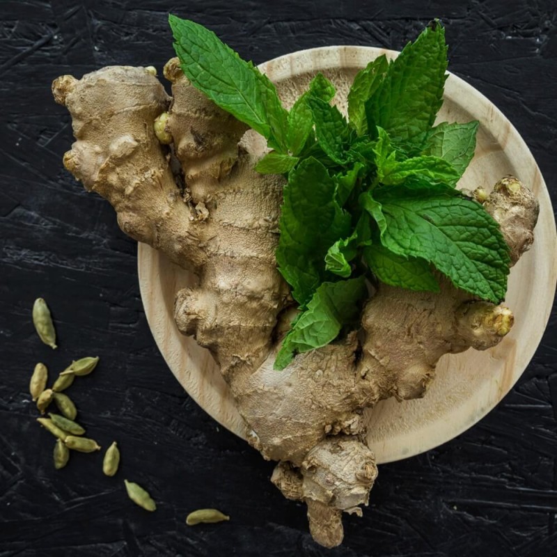 Mięta Imbirowa (Mentha gracilis Ginger) Sadzonka (1).jpg