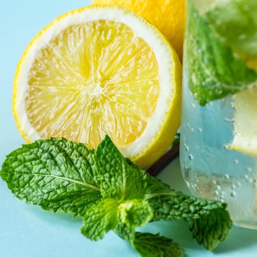 Mięta Cytrynowa Hillarys Sweet Lemon sadzonka C1