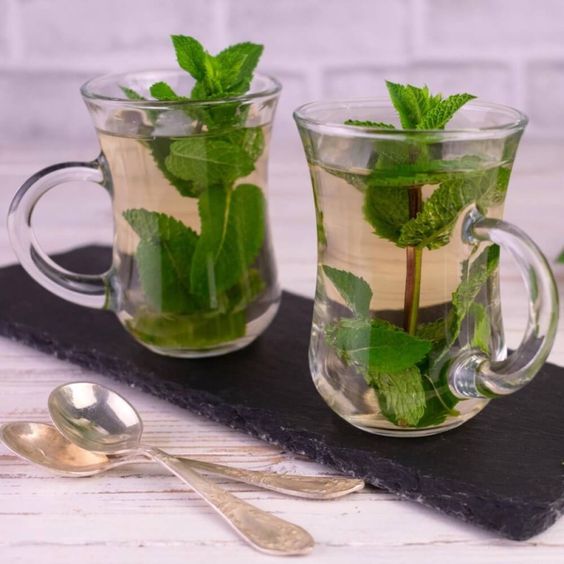 Mięta Bergamot (Mentha piperita) Aromat Earl Grey Sadzonka (2) (1).jpg