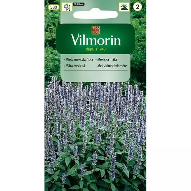 Mięta Meksykańska (Mexican Mint) KUBAŃSKIE OREGANO nasiona 0,1g (2).jpg