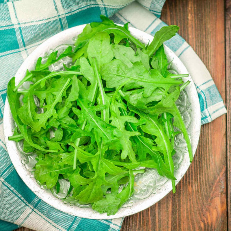 Rukola (Rucola selvatica ) Sadzonka (1).jpg