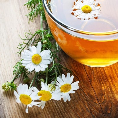 Rumianek (Matricaria chamomilla) nasiona 0,2g (2).jpg