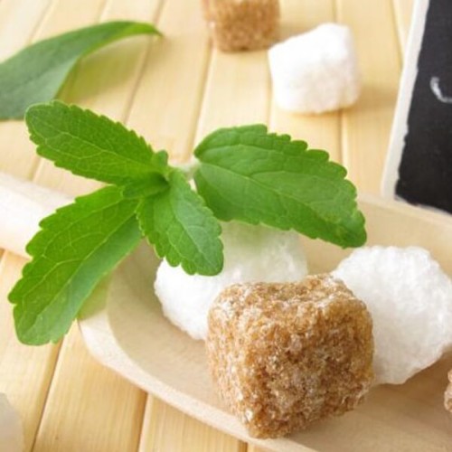 Stewia naturalny słodzik nasiona 0,01g