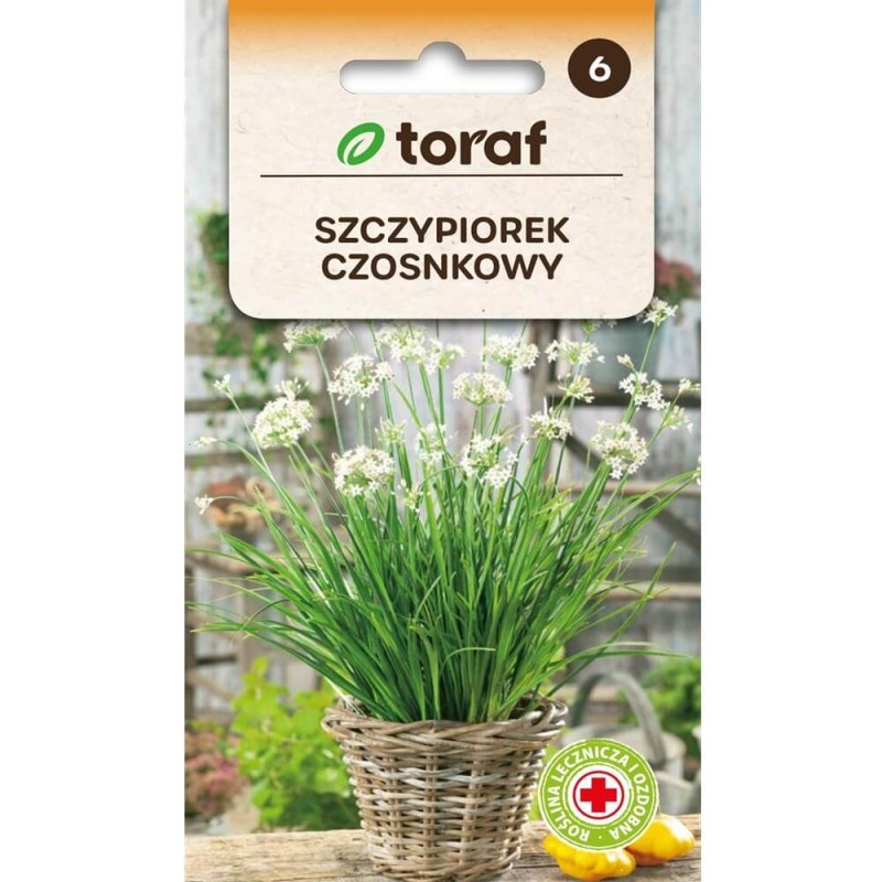 Szczypiorek Czosnkowy (Allium tuberosum) nasiona 1g (3).jpg