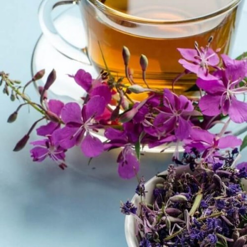 Wierzbówka kiprzyca - Rosyjska Herbata C1