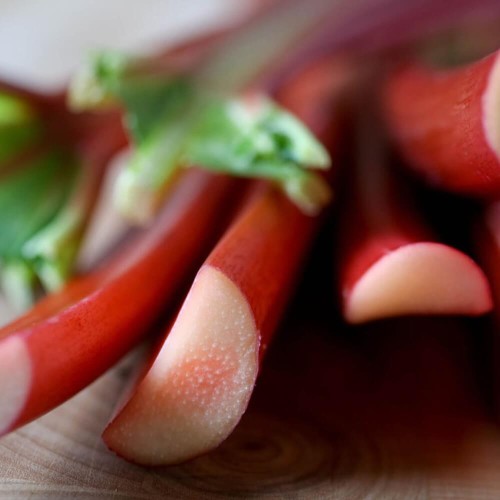 Rabarbar Victoria XL 50g