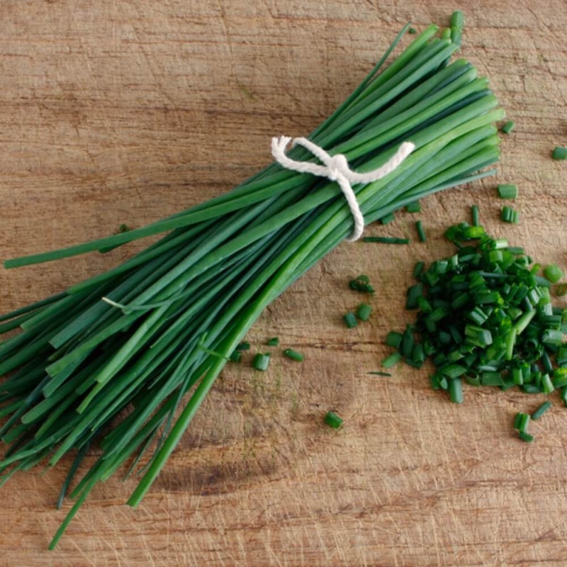 Szczypiorek Medium Leaf nasiona xxl (1).jpg