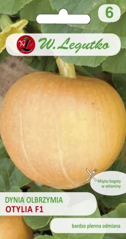 Dynia olbrzymia otylia nasiona (2).jpg