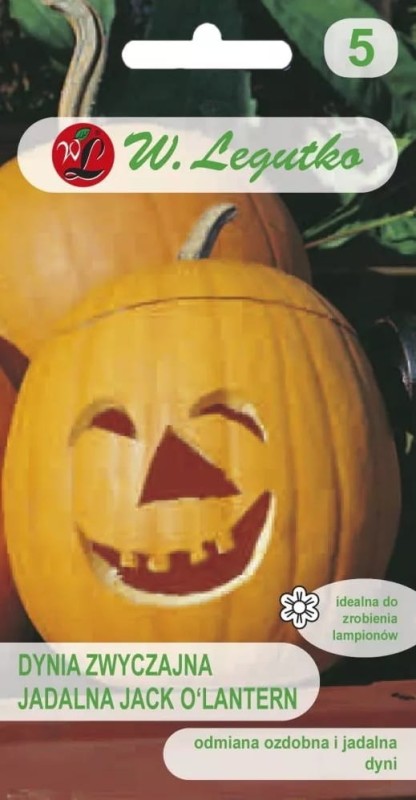 Dynia ozdobna jadalna JACK O'LANTERN nasiona (2).jpg