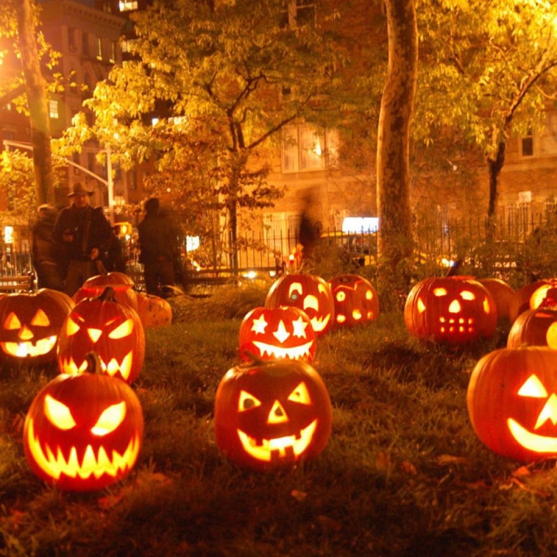 Dynia ozdobna jadalna JACK O'LANTERN nasiona (3).jpg