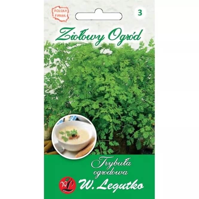 Trybula Commun (Anthriscus Cerefolim) nasiona 1g (1).jpg