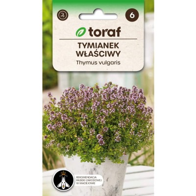 Tymianek właściwy - (Thymus vulgaris) nasiona 0,5g (3).jpg