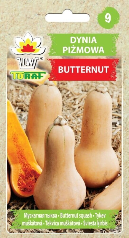 Dynia piżmowa BUTTERNUT nasiona (2).jpg