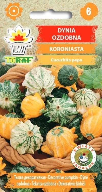 Dynia ozdobna KORONA CIERNIOWA nasiona (2).jpg